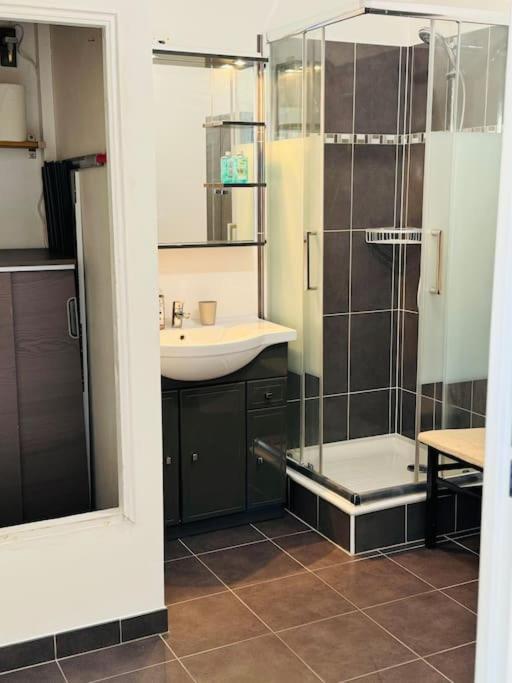 Superbe Duplex-15 Min Disneyland Villa Croissy-Beaubourg Ngoại thất bức ảnh
